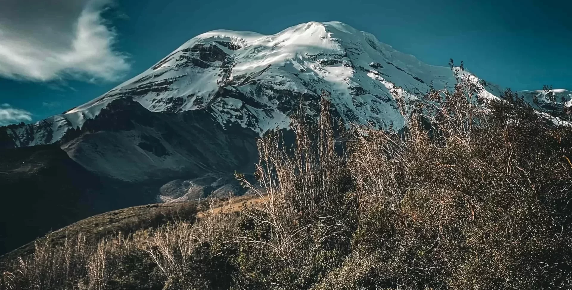 Alexander von Humboldt: Discovering the World from Chimborazo | Impactful  Travel